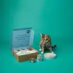 Cat Food Boxes