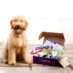 Customized Pet Subscription Boxes