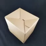 Cardboard Auto Lock Boxes