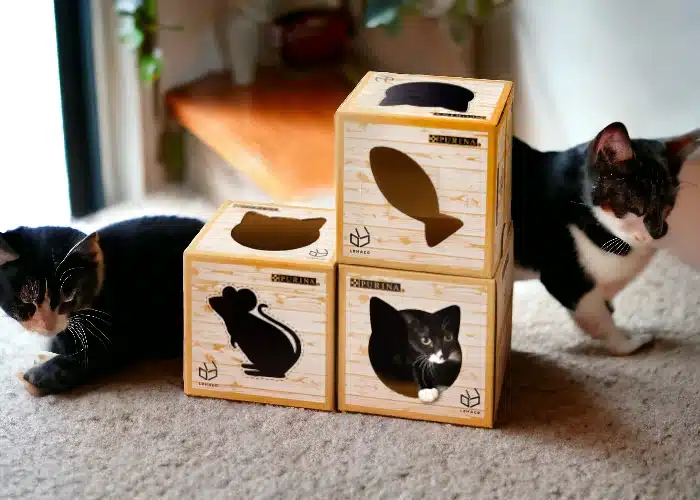 Pet Boxes