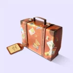 Shipping Suitcase Boxes