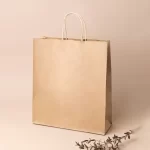 Kraft Paper Bags