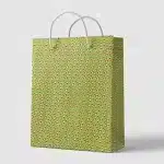 Paper Gift Bag