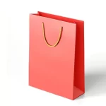 Paper Gift Bags