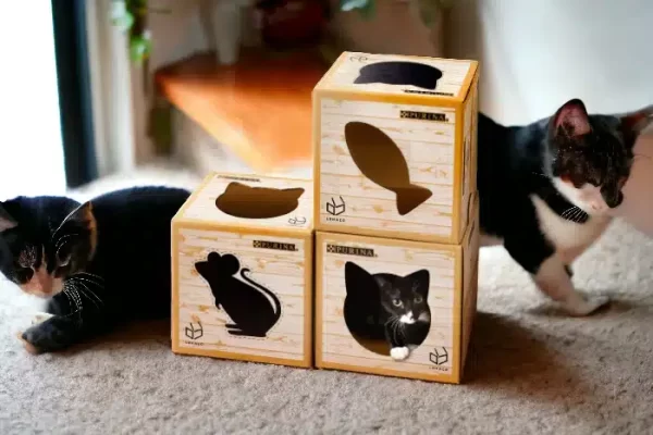 Pet Boxes